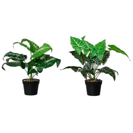 2/A Potted Artificial Plants, 26cm 