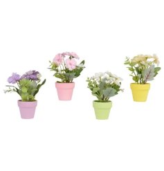 delightful pastel pots with lifelike daisy blooms
