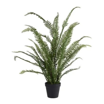 Artificial Boston Fern in Pot, 79cm