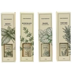 Classic cream boxes decorated with intricate botanical sketches