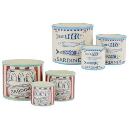 2/A Sardine Planters, 13.5cm 
