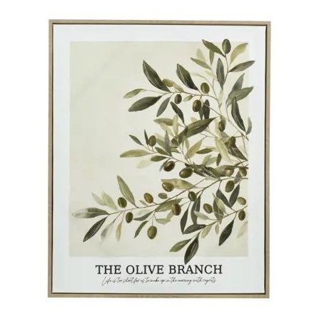 Olive Branch Canvas, 50cm 