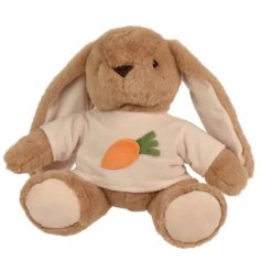 a sweet fluffy bunny rabbit with carrots 