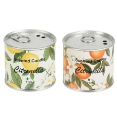 a charming scented candles of lemon and orange 