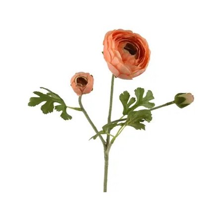 Ranunculus on Stem, 51cm 