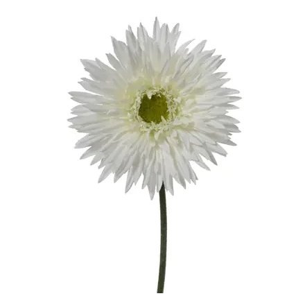 Chrysanthemum Stem Flower, 54cm 