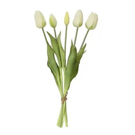 Tulip Bundle, 40cm 