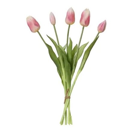 This stunning tulip flower stem is perfect for spring 