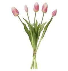 This stunning tulip flower stem is perfect for spring 
