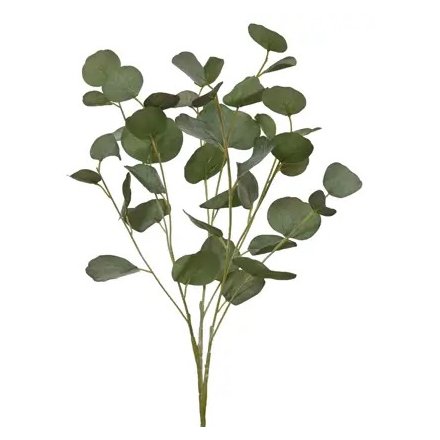 Eucalyptus Spray Stem, 78cm 