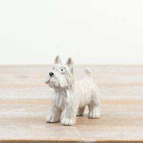 Delightful little Westie with a waggy tail and an irresistible looker expression