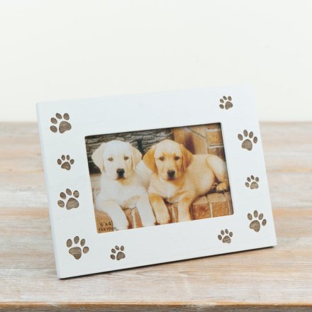 Pet Photo Frame, 22cm 