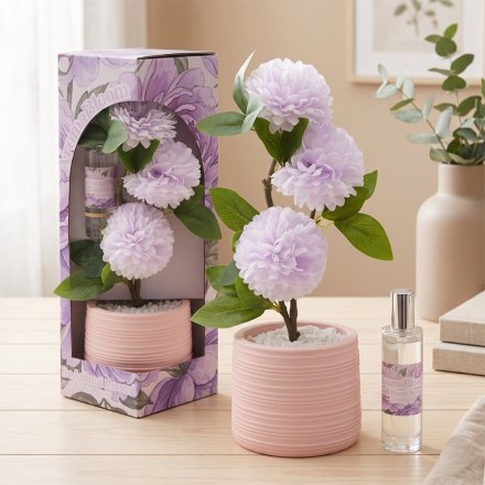 Floral Scented Planter Diffuser Gift Set