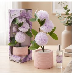 Discover the charming "Aroma Bloom" Lilac diffuser and room spray gift by Lesser & Pavey