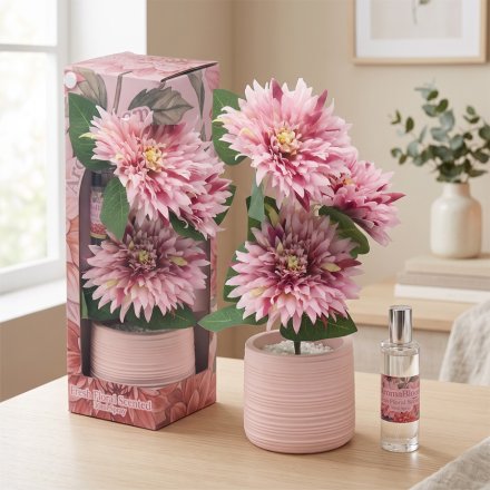 Aroma Bloom Pink Daisy Scent Diffuser Set