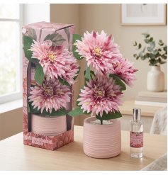 a delightful floral diffuser and room spray in a stylish planter arrangement