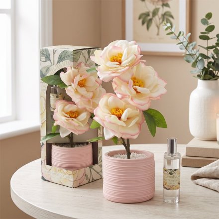 Aroma Bloom Roses Floral Planter with Scented Room Spray