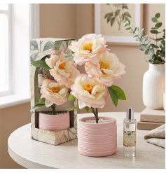 Elegant roses flower planter paired with a fragrant spray to freshen your home
