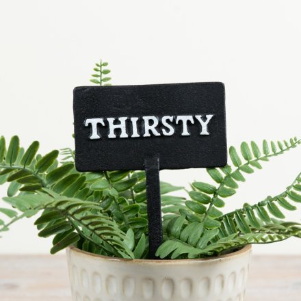 Thirsty Plant Stake, 11.3cm 