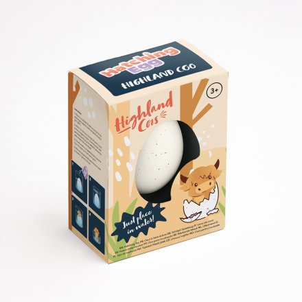 6.5cm Highland Cow Hatchling Egg