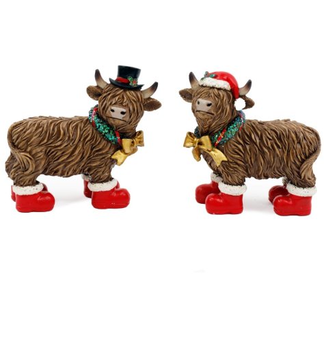 Delightful pair of highland cow decorations for a festive touch