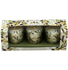 Add warmth and charm to any room with these elegant Casa Oliva candle holders