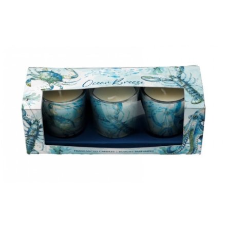 S/3 Coastal Candle Holders - Elegant Nautical Decor