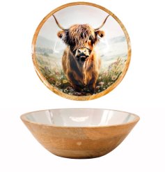 a charming enamel bowl