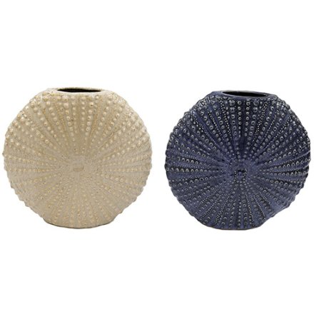 2/a Beach Shell Vase, 23cm 