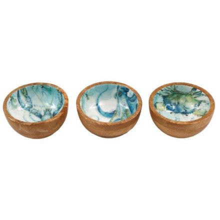 3/A Ocean Enamelled Bowl, 11.5cm 