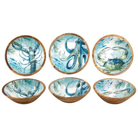 25cm Ocean Enamelled Bowl