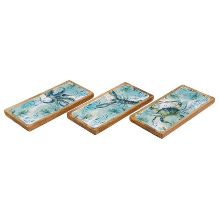 40cm Ocean Enamel Tray, 3/A