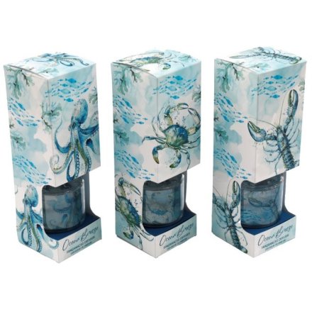 100ml Ocean Diffuser, 3/A 