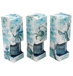 Infuse your living space with the calming essence of the sea through this stylish diffuser set