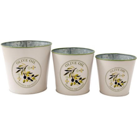 S/3 Emb Oliva Planters