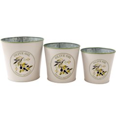 Enhance your kitchen windowsill or garden shelf with our rustic French country metal planter trio