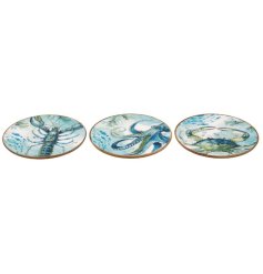 A stunning enamelled plate inspired by the beauty of the ocean