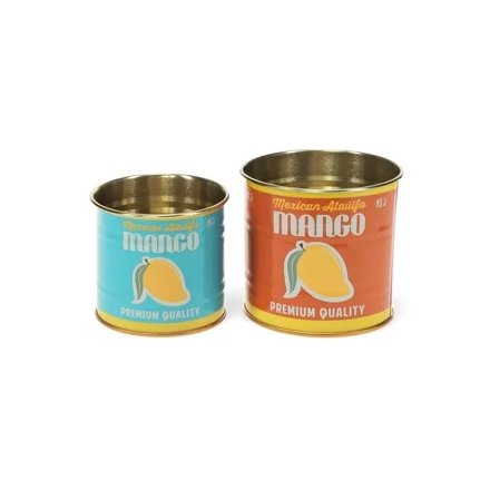 Set of 2 Mango-Design Storage Tins, 8cm 